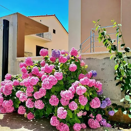Apartment Ivana Brodarica (Sibenik-Knin)